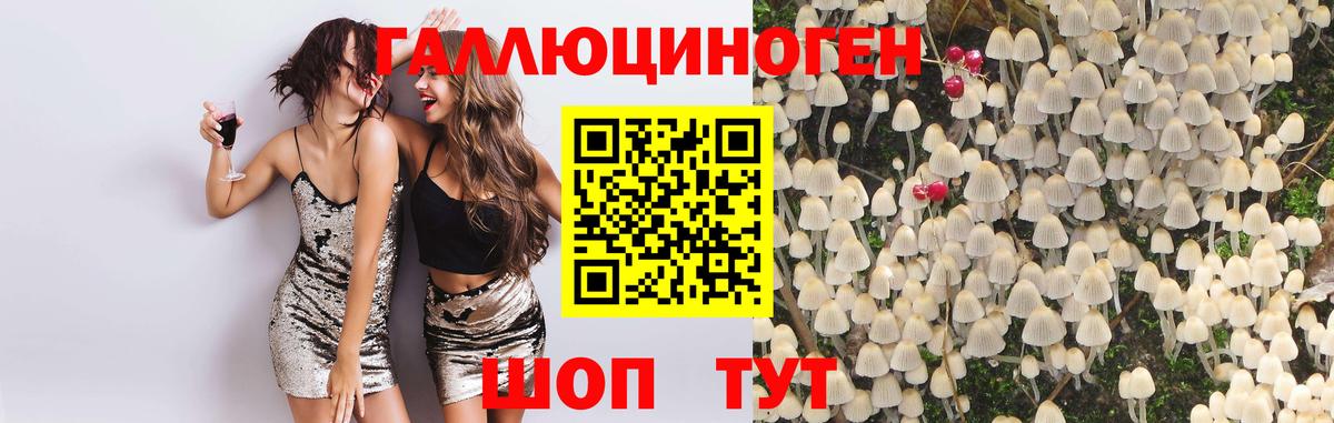 Краснокаменск  Псилоцибиновые грибы ЛСД  Псилоцибиновые грибы Magic Shrooms  Вход с VPN 